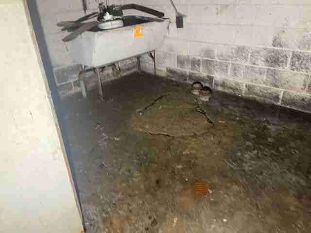 Testing again(29).jpg